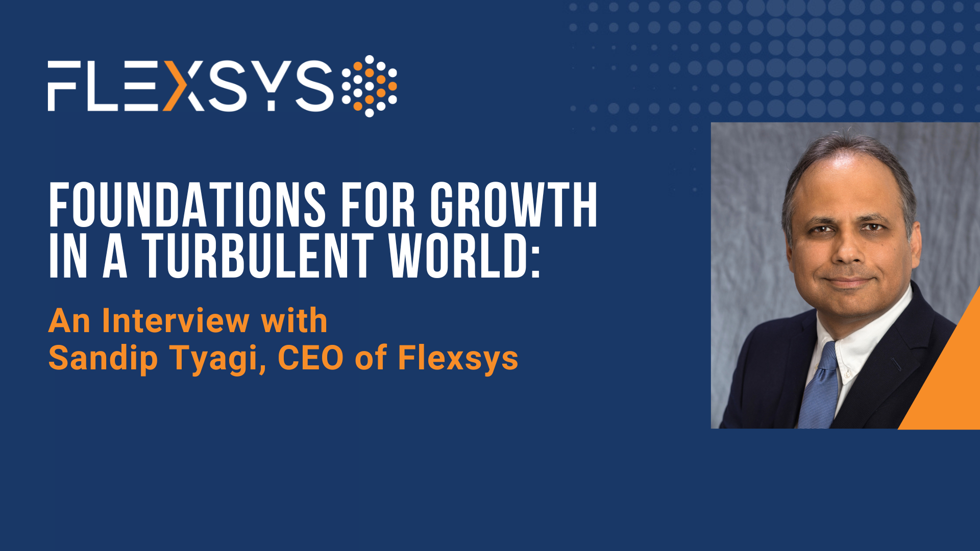 Interview with CEO of Flexsys