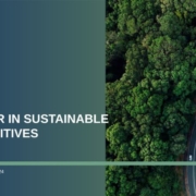 overhead view of a car driving on a two-lane road through a verdant forest | text: Flexsys, a leader in sustainable tire additives, sustainability report 2024