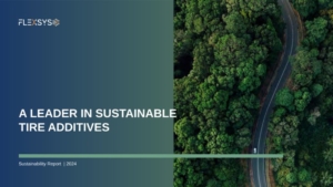 overhead view of a car driving on a two-lane road through a verdant forest | text: Flexsys, a leader in sustainable tire additives, sustainability report 2024